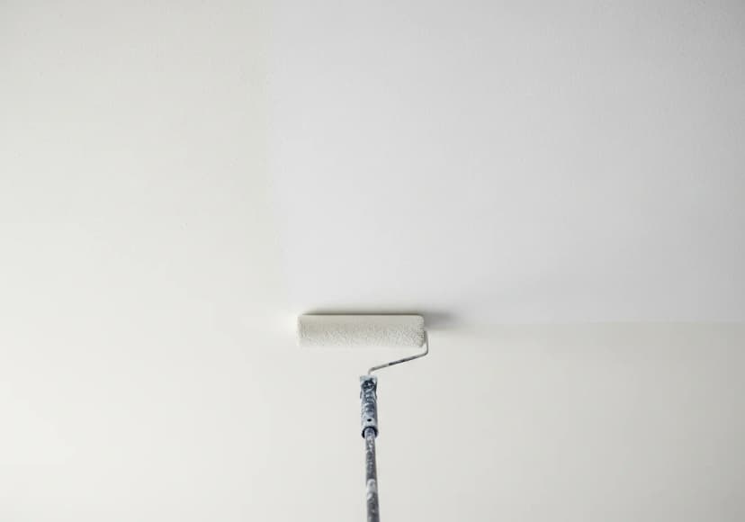 Specialty Ceiling Paint (Flat/Ultra-Matte)